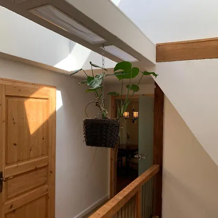 Gesundbrunnen Apartment
